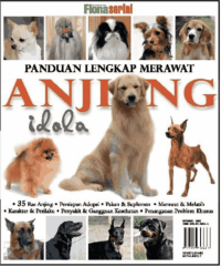 Panduan Lengkap Merawat Anjing Idola