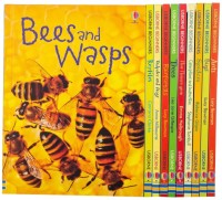 Usborne Beginners :Bees and Wasps