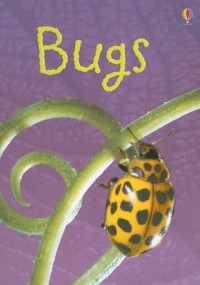 Usborne Beginners :Bugs