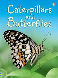 Usborne Beginners :Caterpillar and Butterflies