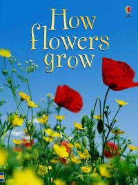 Usborne Beginners :How Flowers grow