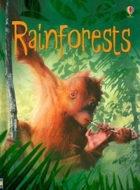 Usborne Beginners : Rainforest