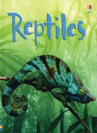 Usborne Beginners :Reptiles