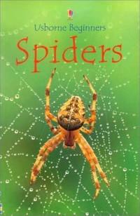 Usborne Beginners : Spider