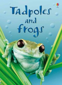 Usborne Beginners : Tadpoles and Frogs