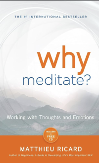 Why Meditate